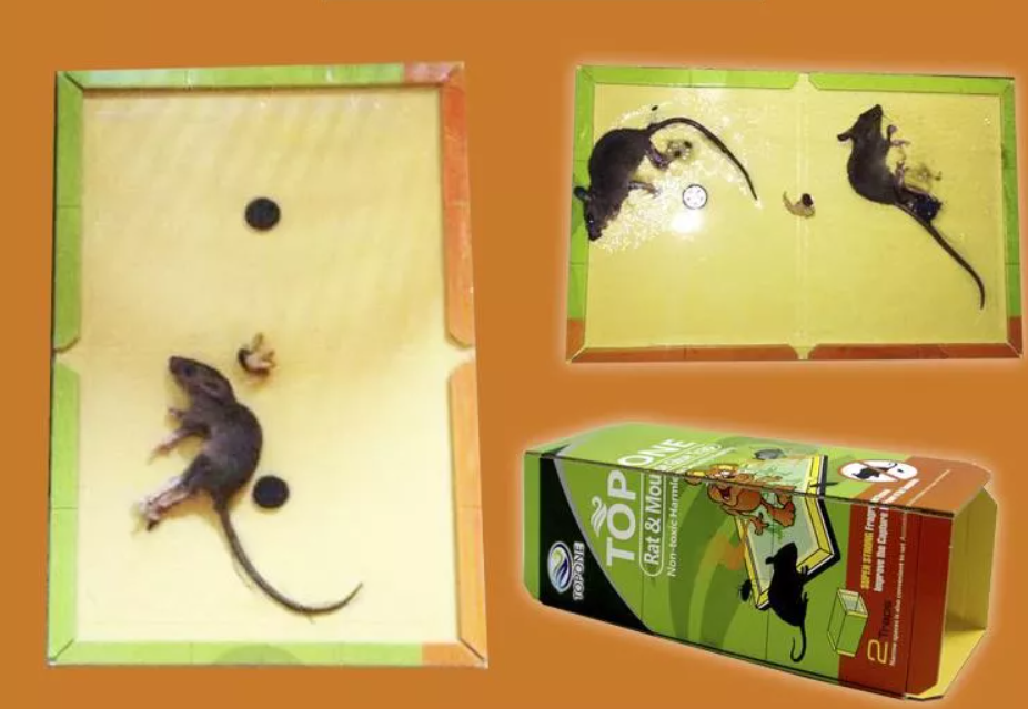 Faida za Mousetrap